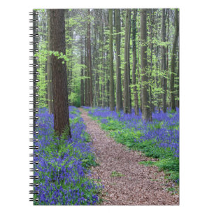 Carnet La forêt de Halle Halle, Belgique