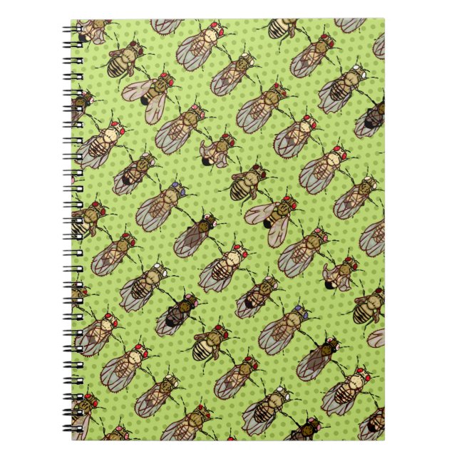 Carnet La génétique de mouche à fruit de drosophile - (Devant)