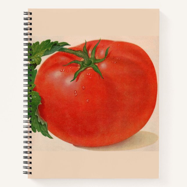 Carnet la grande tomate (Devant)