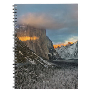Carnet La marque de l'hiver