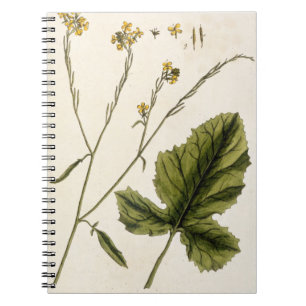 Carnet La moutarde, plaquent 446 "d'un de fines herbes