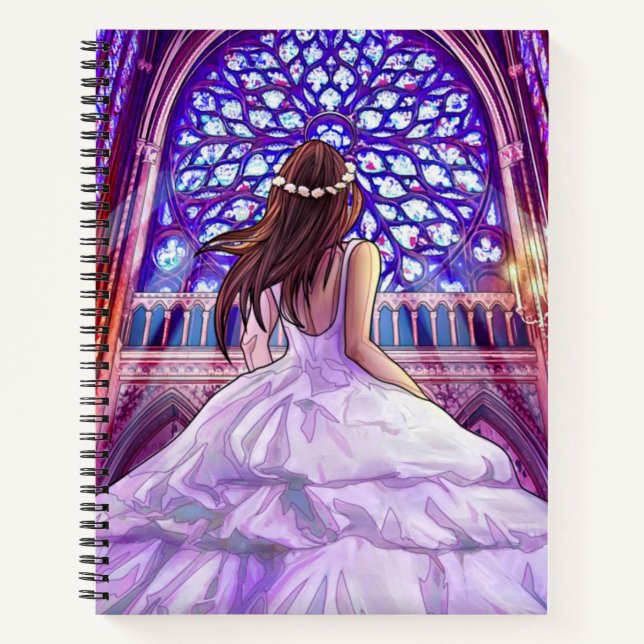 Carnet La princesse volée (Devant)