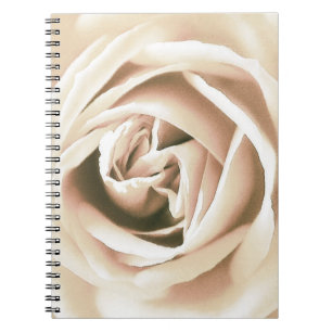 Carnet La Rose blanche