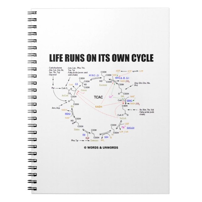 Carnet La Vie Fonctionne Sur Son Propre Cycle Krebs Cycle (Devant)
