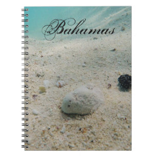 Carnet La vie sous-marine sur la plage