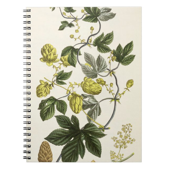 Carnet La vigne d'houblon, "du jeune terrien", édité (Devant)