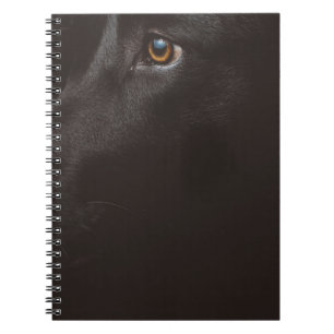 Carnet laboratoire noir