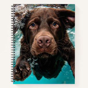 Carnet Labrador chocolat joueur nageant sous l'eau