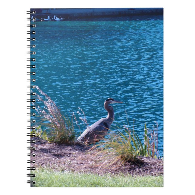 Carnet Laisse les couleurs être votre guide (Devant)