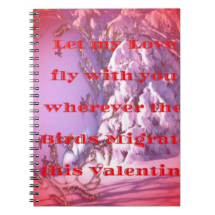 Carnet Laissez-moi voler avec vous à valentine.png