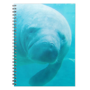 Carnet Lamantin
