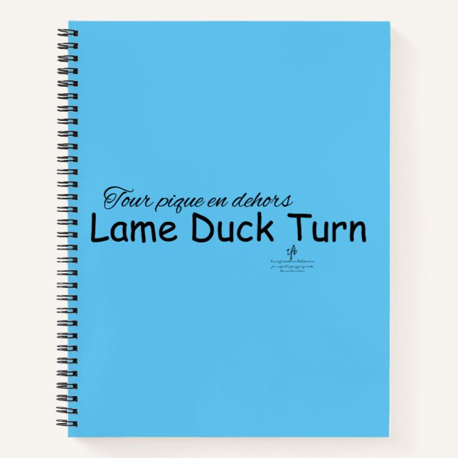 Carnet Lame Duck Turn Sky Blue and Black (Devant)