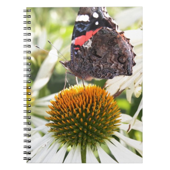 Carnet L'amiral papillon sur la fleur (Devant)