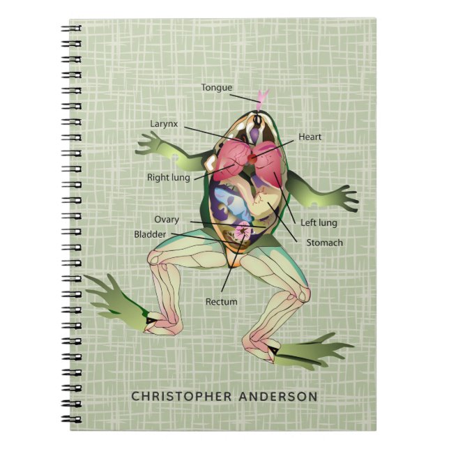 Carnet L'anatomie de la grenouille personnalisée (Devant)