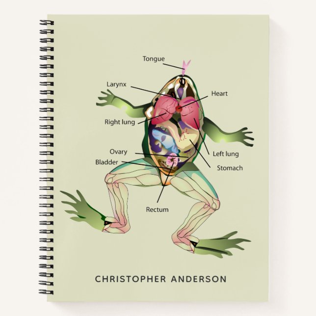 Carnet L'anatomie de la grenouille personnalisée (Devant)