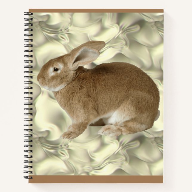 Carnet lapin  (Devant)