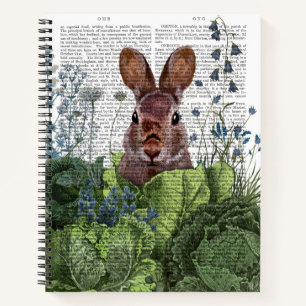 Carnet Lapin dans une patte de chou