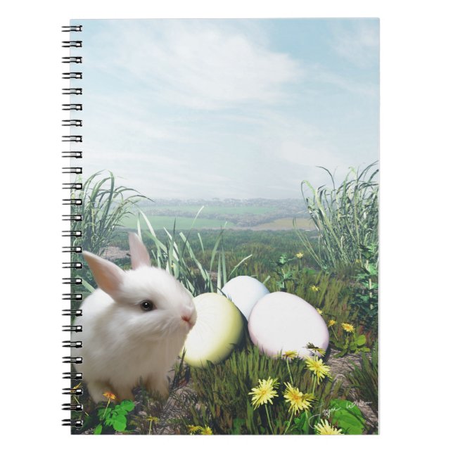 Carnet Lapin de Pâques et Oeufs de Pâques (Devant)