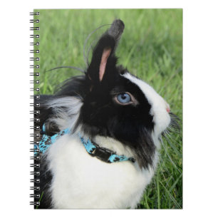 Carnet Lapin Lapin Lionhead noir et blanc Fluffy