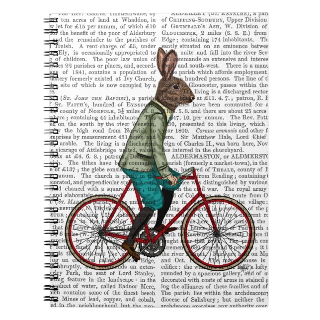 Carnet Lapin Sur Vélo 2 (Devant)