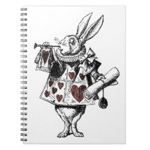Lapins blancs des coeurs - Alice au pays des