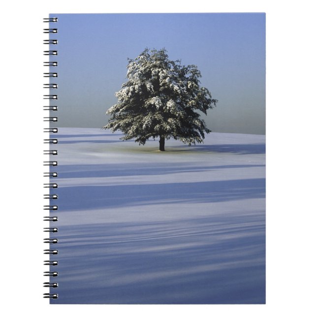 Carnet L'arbre dans la neige a couvert le paysage (Devant)