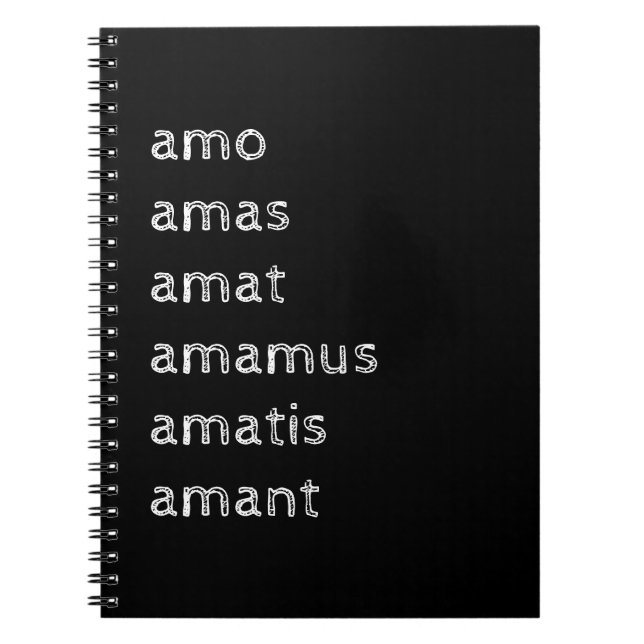 Carnet latin, Amo amas amat (Devant)
