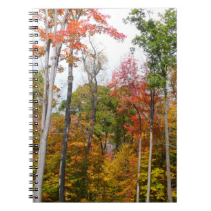 Carnet L'automne dans la forêt Photographie d'automne col
