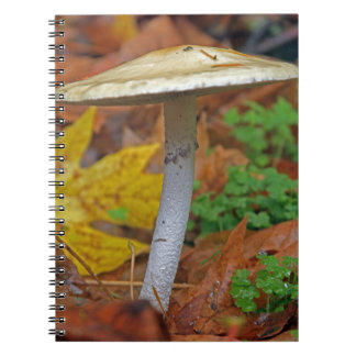 Carnet "L'Automne Sentinel : Le Sauvage Est Seul"