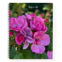 Lavande rose rose couverture rigide