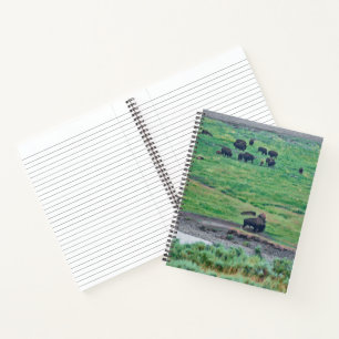 Carnet Le bison américain