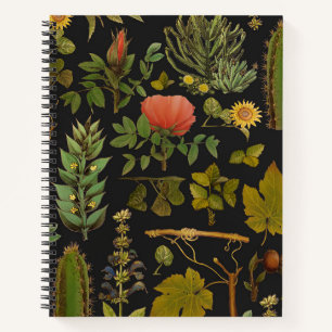 Carnet Le cactus vert