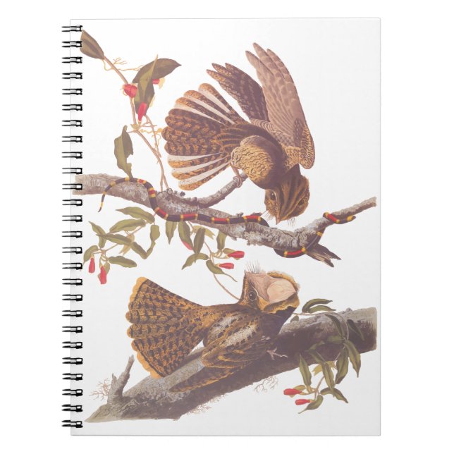 Carnet Le cauchemar de la veuve de Chuck Will avec serpen (Devant)