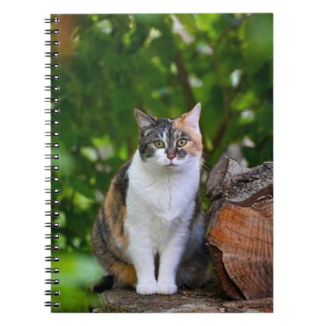 Carnet Le chat (Devant)