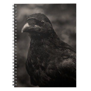 Carnet Le chercheur