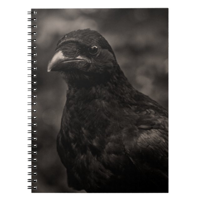 Carnet Le chercheur (Devant)