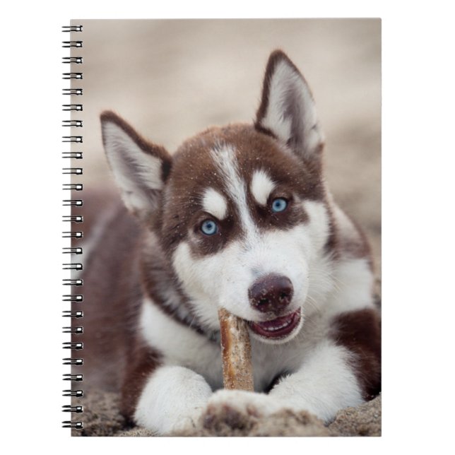 Carnet Le chiot sibérien Husky à la plage (Devant)
