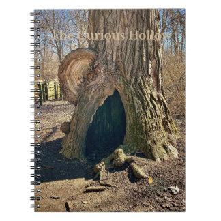 Carnet Le Creux Curieux