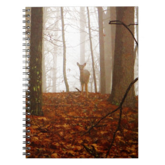 Carnet Le Démon