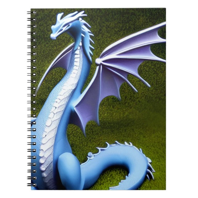 Carnet Le dragon bleu (Devant)