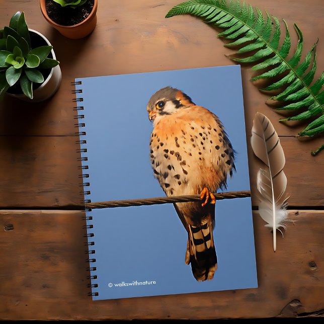 Carnet Le faucon kestrel américain sur fil (American Kestrel on a Wire Journal Cover Photo)