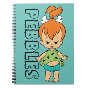 Carnet Le Flintstone de cailloux des Flintstones