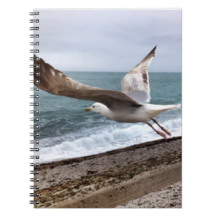 Carnet Le goëland d'Etretat français