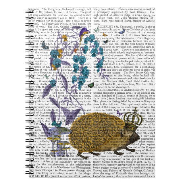 Carnet Le hérisson d'or (Devant)