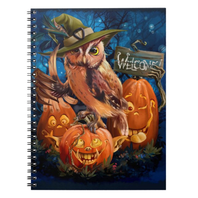 Carnet Le hibou dans la casquette magique et ses amis cit (Devant)