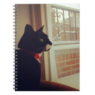 Carnet Le Jour de la Neige de Lucy