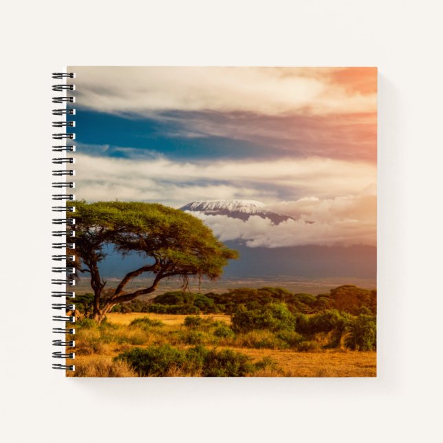 Carnet Le Kilimandjaro | Amboseli, Kenya (Devant)