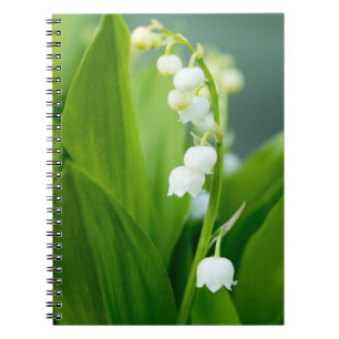Carnet Le muguet