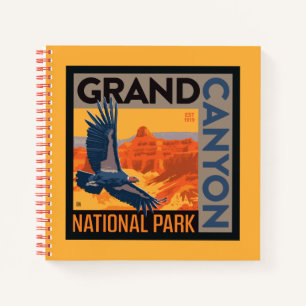 Carnet Le Parc national du Grand Canyon   Condor