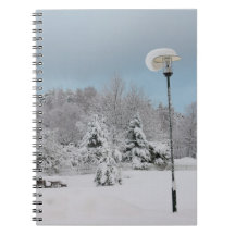 Le pays des merveilles d'hiver